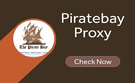 proxy of pirate|a list of pirate proxy.